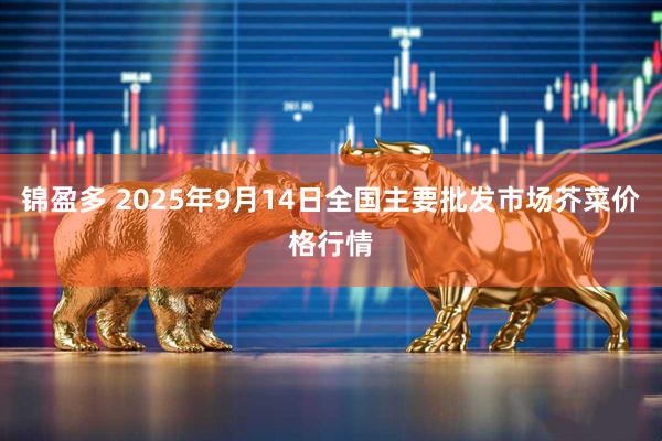 锦盈多 2025年9月14日全国主要批发市场芥菜价格行情