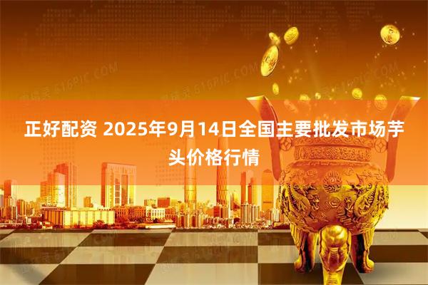 正好配资 2025年9月14日全国主要批发市场芋头价格行情