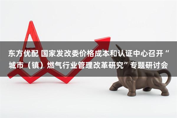 东方优配 国家发改委价格成本和认证中心召开“城市（镇）燃气行业管理改革研究”专题研讨会